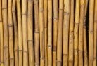Guildford Westbamboo-fencing-2.jpg; ?>